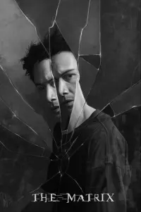 Poster to the movie "The Matrix" #739038
