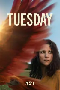 Poster to the movie "Tuesday" #1158467