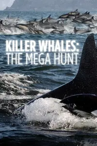 Poster to the movie "Killer Whales: the Mega Hunt" #1015374