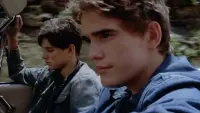 Backdrop to the movie "The Outsiders" #821367