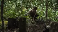 Backdrop to the movie "The Survivalist" #731717