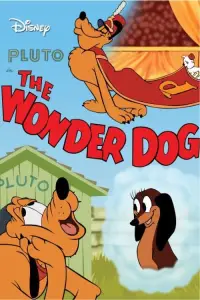 Poster to the movie "Wonder Dog" #955322
