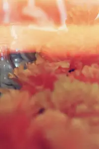 Poster to the movie "Ofrenda" #1007548