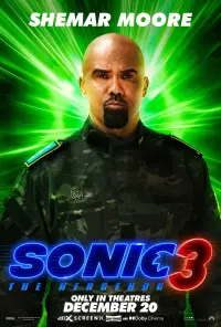 Poster to the movie "Sonic the Hedgehog 3" #552178