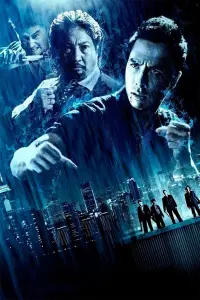 Poster to the movie "SPL: Kill Zone" #807516