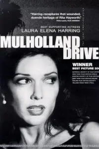 Poster to the movie "Mulholland Drive" #1017757
