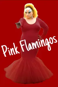 Poster to the movie "Pink Flamingos" #986518
