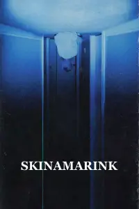 Poster to the movie "Skinamarink" #965555
