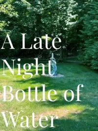 Poster to the movie "A Late Night Bottle of Water" #829247