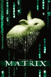 Poster to the movie "The Matrix" #1055057