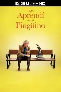 Poster to the movie "The Penguin Lessons" #583838