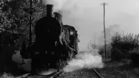 Backdrop to the movie "The Train" #809476