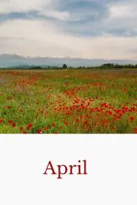 Poster to the movie "April" #916787