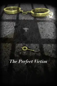 Poster to the movie "The Perfect Victim" #1015007