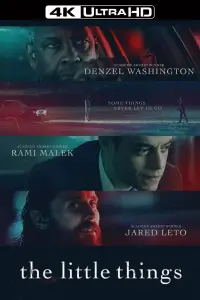 Poster to the movie "The Little Things" #953419