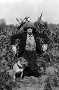 The Scarecrow