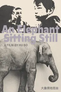 Poster to the movie "An Elephant Sitting Still" #759270