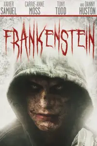 Poster to the movie "Frankenstein" #1091548