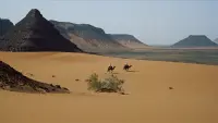 Backdrop to the movie "Lawrence of Arabia" #549222