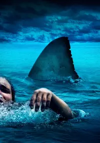Poster to the movie "The Reef" #770336