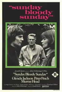 Poster to the movie "Sunday Bloody Sunday" #1115132