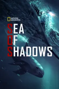 Poster to the movie "Sea of Shadows" #989960