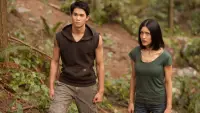Backdrop to the movie "The Twilight Saga: Breaking Dawn - Part 1" #803101