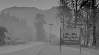 Backdrop to the movie "Twin Peaks: Fire Walk with Me" #711810