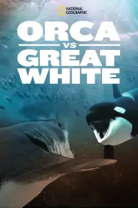 Poster to the movie "Orca Vs. Great White" #1014882