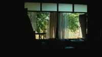 Backdrop to the movie "Uncle Boonmee Who Can Recall His Past Lives" #779341