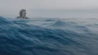 Backdrop to the movie "Vera Dreams of the Sea" #810527
