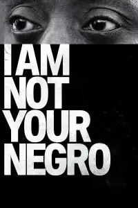 Poster to the movie "I Am Not Your Negro" #1107633