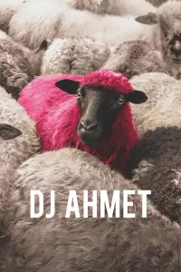 Poster to the movie "DJ Ahmet" #595243