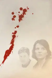 Poster to the movie "Caché" #730490