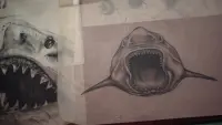 Backdrop to the movie "Jaws @ 50: The Definitive Inside Story" #801984