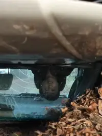 Poster to the movie "Stake Land: The Day I Told My Boyfriend" #1146093