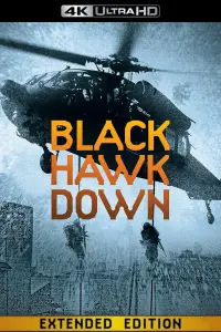 Poster to the movie "Black Hawk Down" #930553