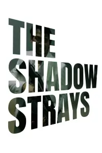Poster to the movie "The Shadow Strays" #941536