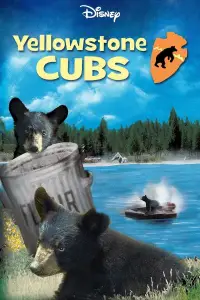 Poster to the movie "Yellowstone Cubs" #990555
