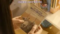 Backdrop to the movie "Sagrada Reset Part 2" #772526