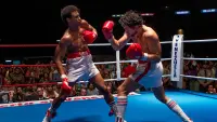 Backdrop to the movie "Hands of Stone" #693595