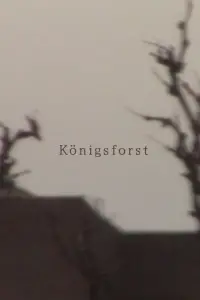 Poster to the movie "Königsforst" #1155244