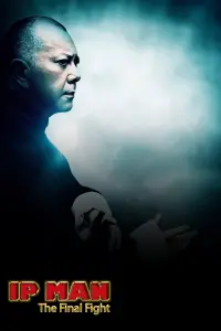Poster to the movie "Ip Man: The Final Fight" #749768