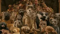 Backdrop to the movie "Fantastic Mr. Fox" #753438