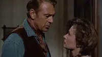 Backdrop to the movie "Springfield Rifle" #798945