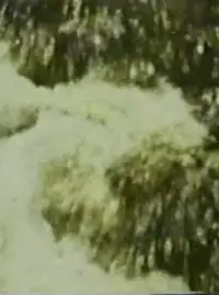 Poster to the movie "Song 3" #1047323