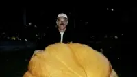 Backdrop to the movie "Lords of the Gourd" #889617