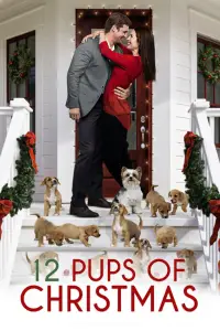 Poster to the movie "12 Pups of Christmas" #1095309