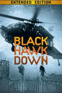 Poster to the movie "Black Hawk Down" #930653