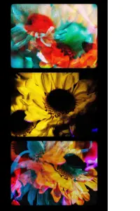 Poster to the movie "Flowers (II)" #780414